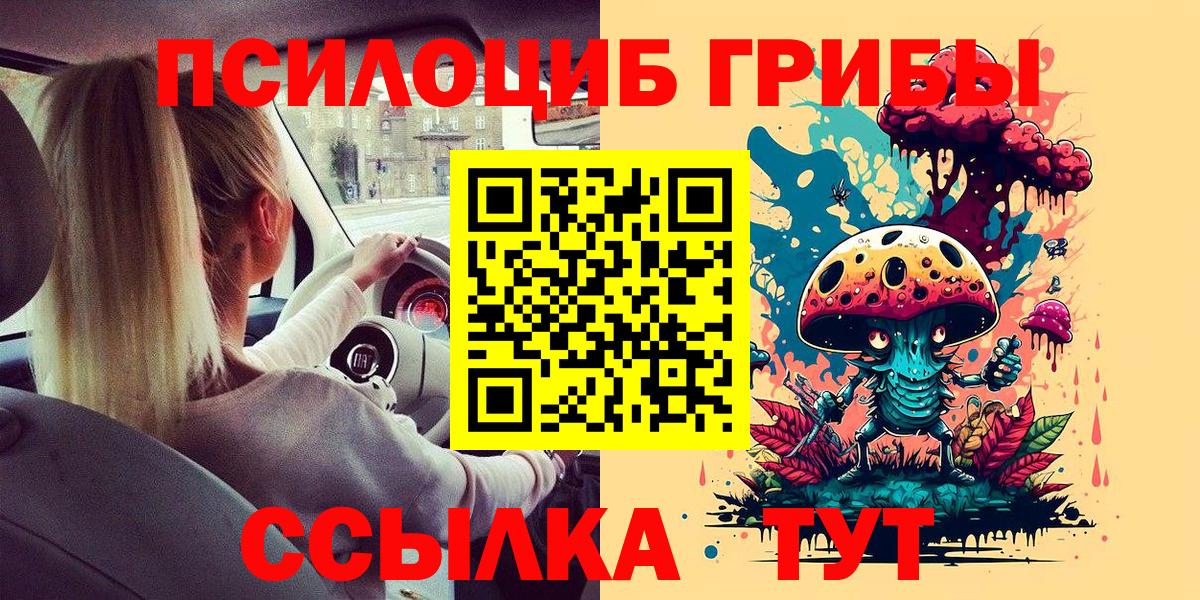 закладка  Псилоцибиновые грибы мицелий  Галлюциногенные грибы прущие грибы  Вход с VPN  Люберцы 